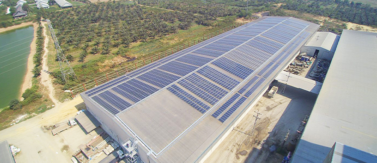 SPM FEED MEAL – 999 kWp.