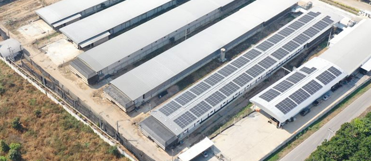 LAKTHANAKUN – 299.70 kWp.